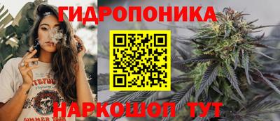 сатива Заводоуковск