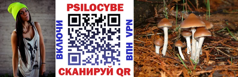 Галлюциногенные грибы мицелий  Черняховск 