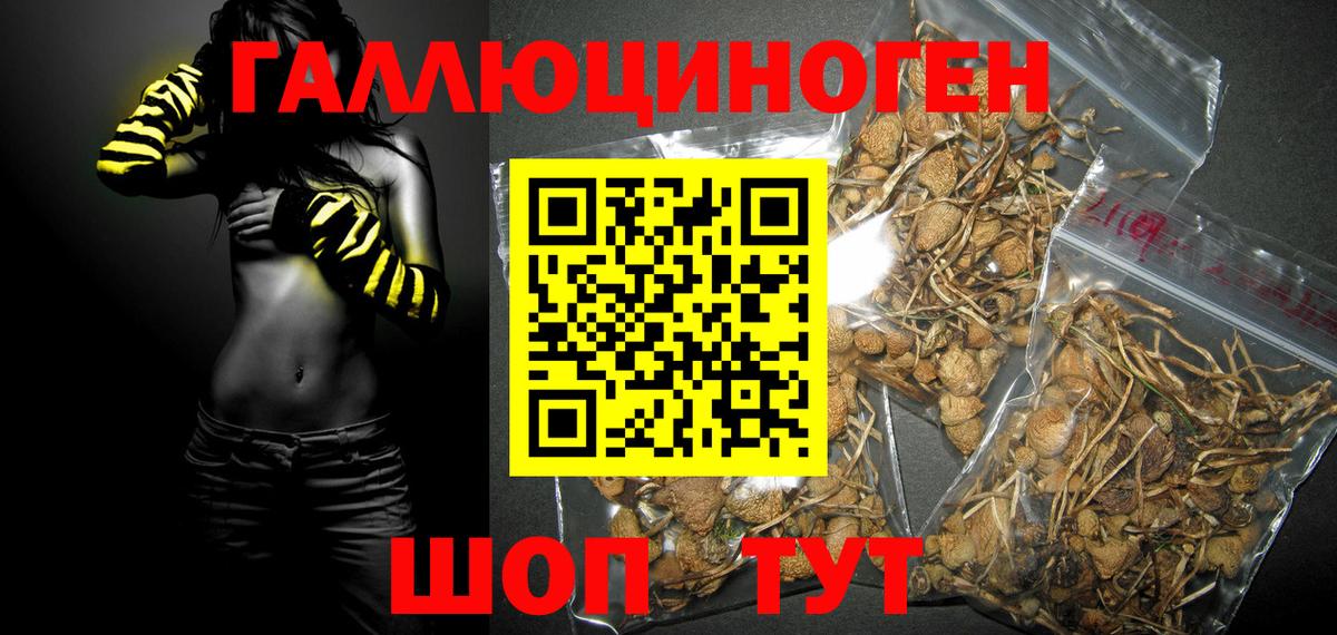 Псилоцибиновые грибы мухоморы  Вход с VPN  Черняховск  Галлюциногенные грибы Magic Shrooms 